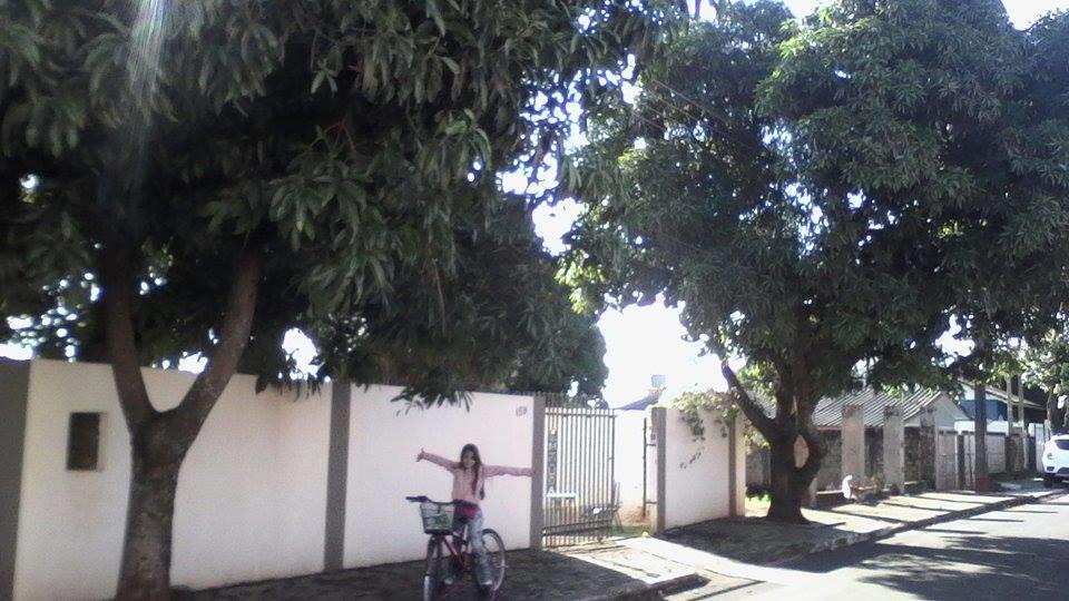 Aconchego Lar Cama E Cafe Bed & Breakfast Foz do Iguaçu Dış mekan fotoğraf